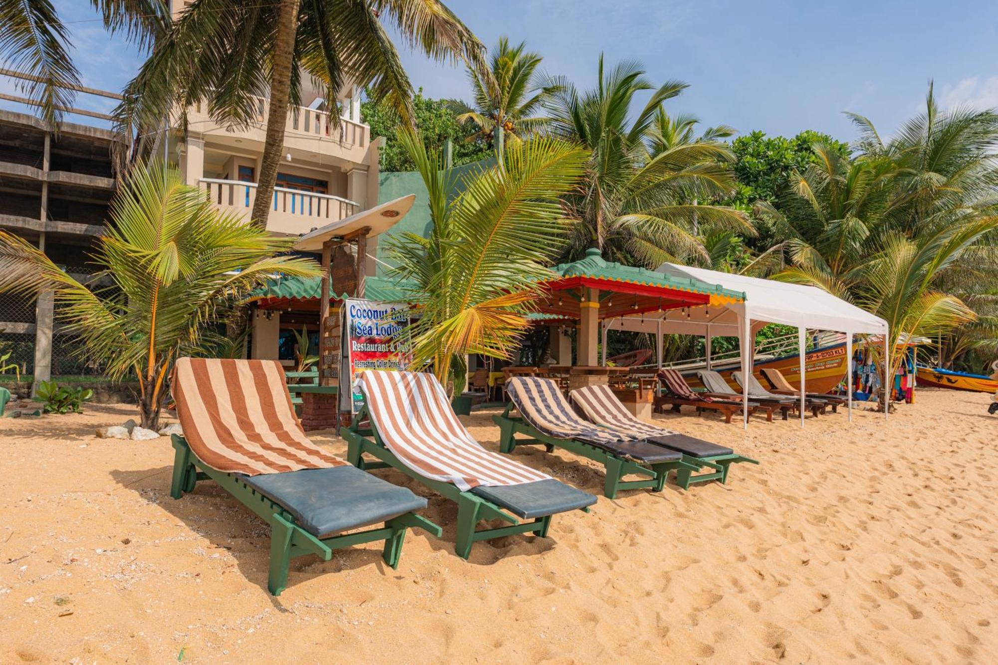 Hotel Coconut Bar Sea Lodge Берувала Экстерьер фото